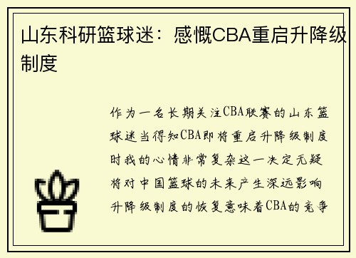 山东科研篮球迷：感慨CBA重启升降级制度